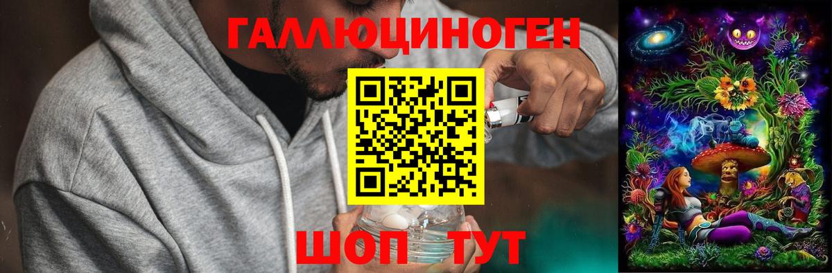 Псилоцибиновые грибы Cubensis  Галлюциногенные грибы прущие грибы  Татарск  Вход с VPN 