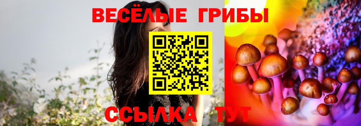Галлюциногенные грибы прущие грибы Татарск